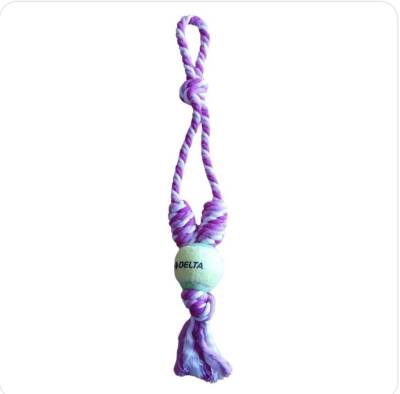 Bg Pet Evcil Hayvan Örgü İpi Ve Diş Kaşıma Oyun Topu 45 cm (Mavi) - 1
