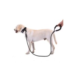 Evcil Hayvan Reflektörlü Köpek Tasması 130 Cm - BONYBON
