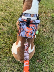 Pawlook Turuncu Kamuflaj Model Köpek Göğüs Tasmalı Sırt Çantası - PAWLOOK